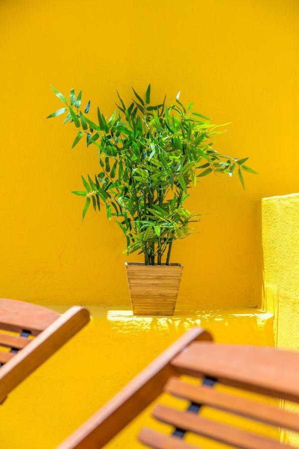 Alfama, Bright And Spacious With Private Terrace, By Timecooler Lisboa Ngoại thất bức ảnh
